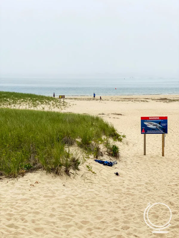 Chatham beach with shark warning 