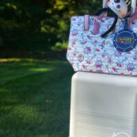 Suitcases packed for Walt Disney World