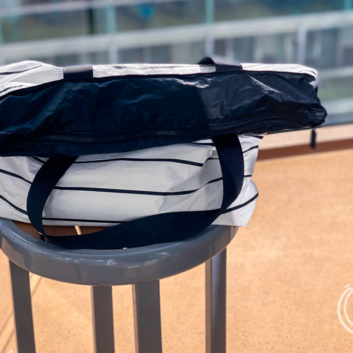 Do You Know What To Pack In Carry On Vs Checked Luggage? Family