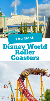 Photo college of Exterior of Space Mountain and Slinky Dog Ride Vehicle: The Best Roller Coasters at Walt DIsney World 