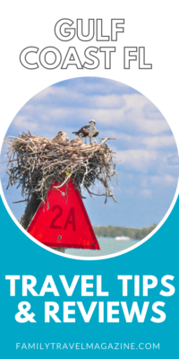 Photo of Osprey bird nest on an orange triangle sign 