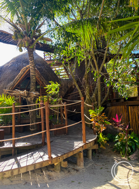 Aviary with straw hut, tropical plants, and a wooden walkway. 