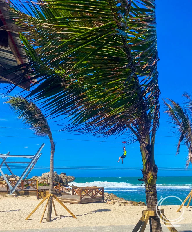 zip liner over beach with palm trees 