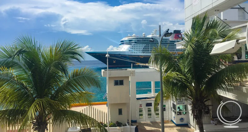 Palm tree and port buildings in front of the Disney Fantasy. 