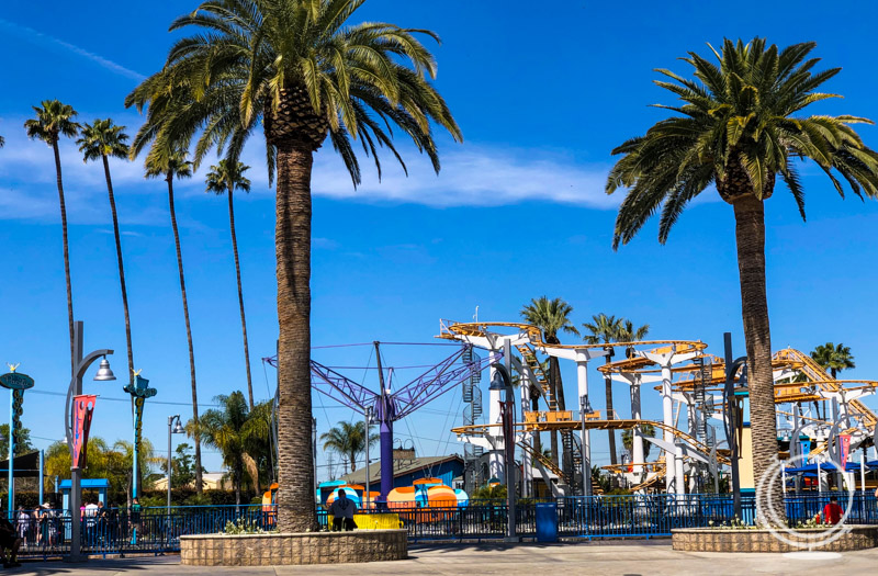 Theme park with coaster tracks, swing vehicle ride, and palm trees