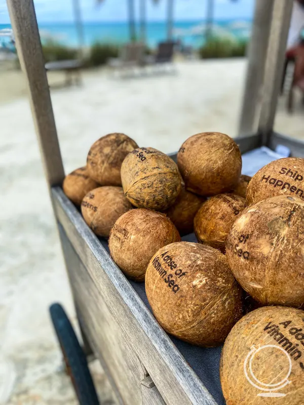 Coconuts in a cart, branded with clever phrases like a"a dose of vitamin sea" and "ship happens" 