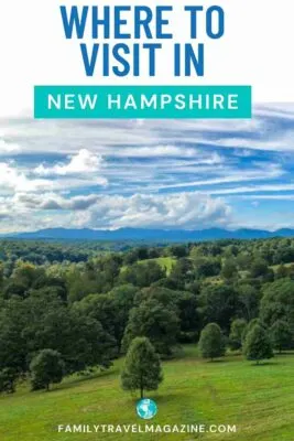 Green trees and blue sky in the White Mountains