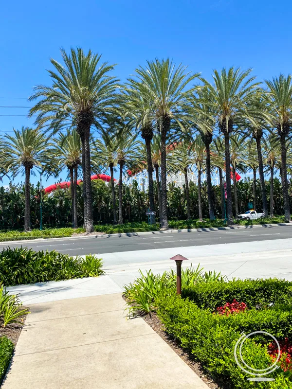 View of IncrediCoaster through palm trees