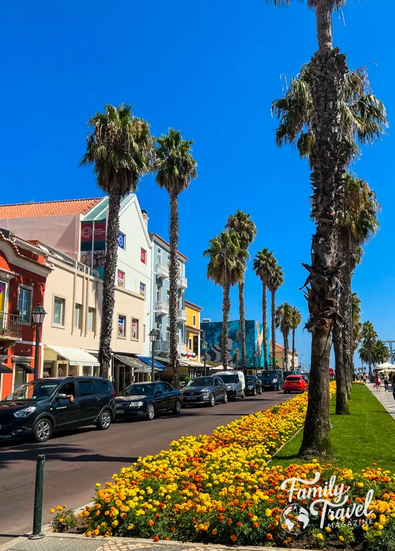 Palm tree lined street with marigolds and colorful buildings