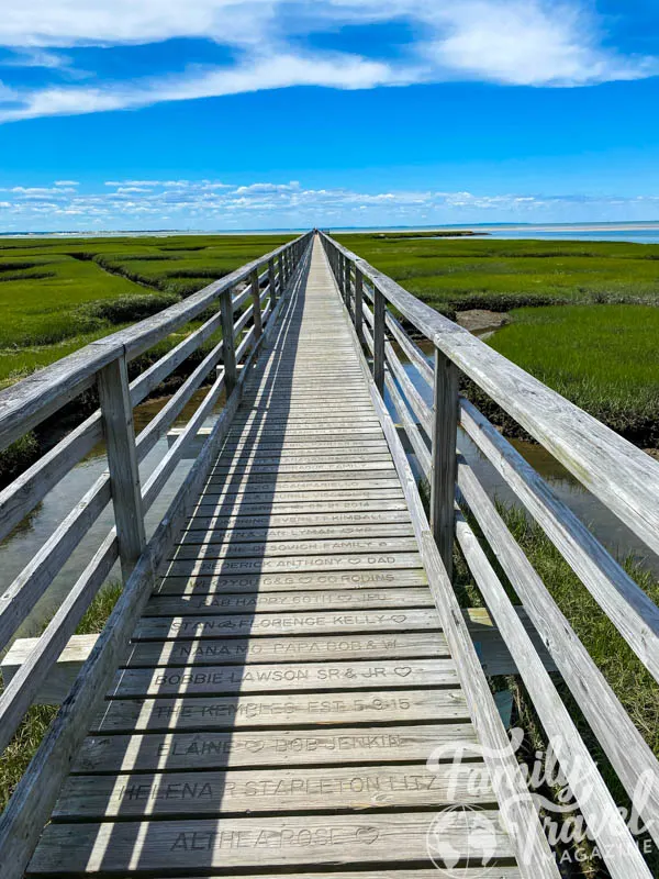 wooden beach pier over green marshes