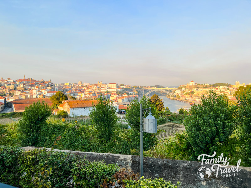 View of Douro river, trees/shrubs and buildings in Porto with a bridge in the background
