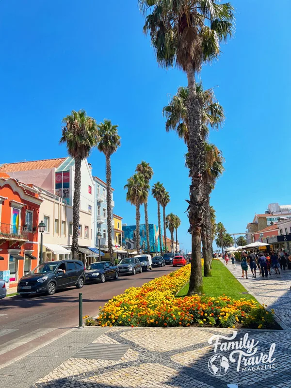 Palm tree lined street with flowers and colorful buildings