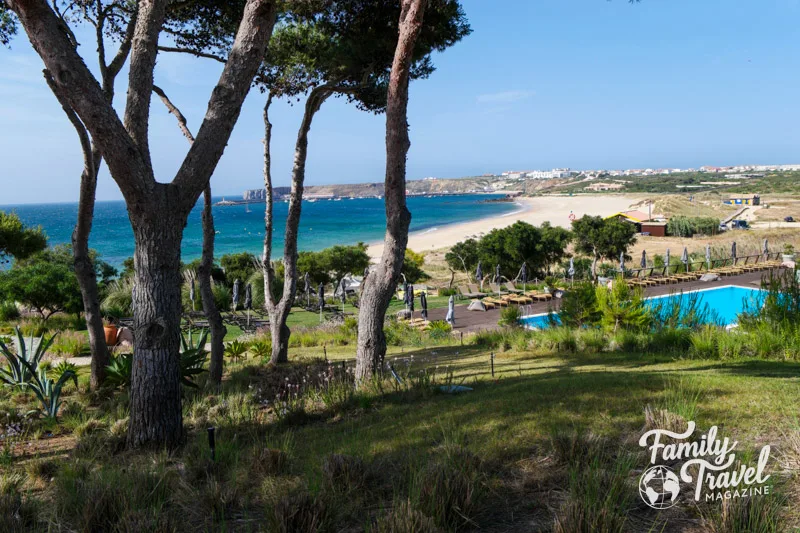 View of pool and beach with greenery in the foreground 