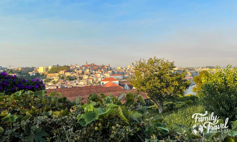 Trees and grapevines in the foreground with distance views of orange roofed buildings