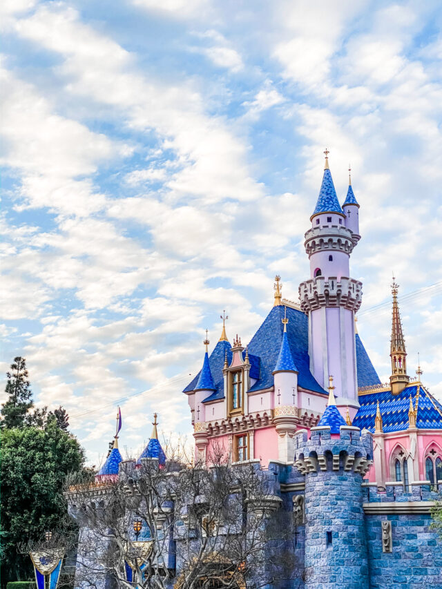 The Best Attractions At Disneyland