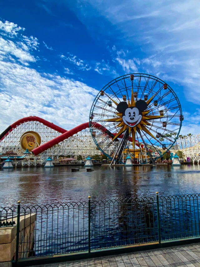 Disney California Adventure Attractions Story