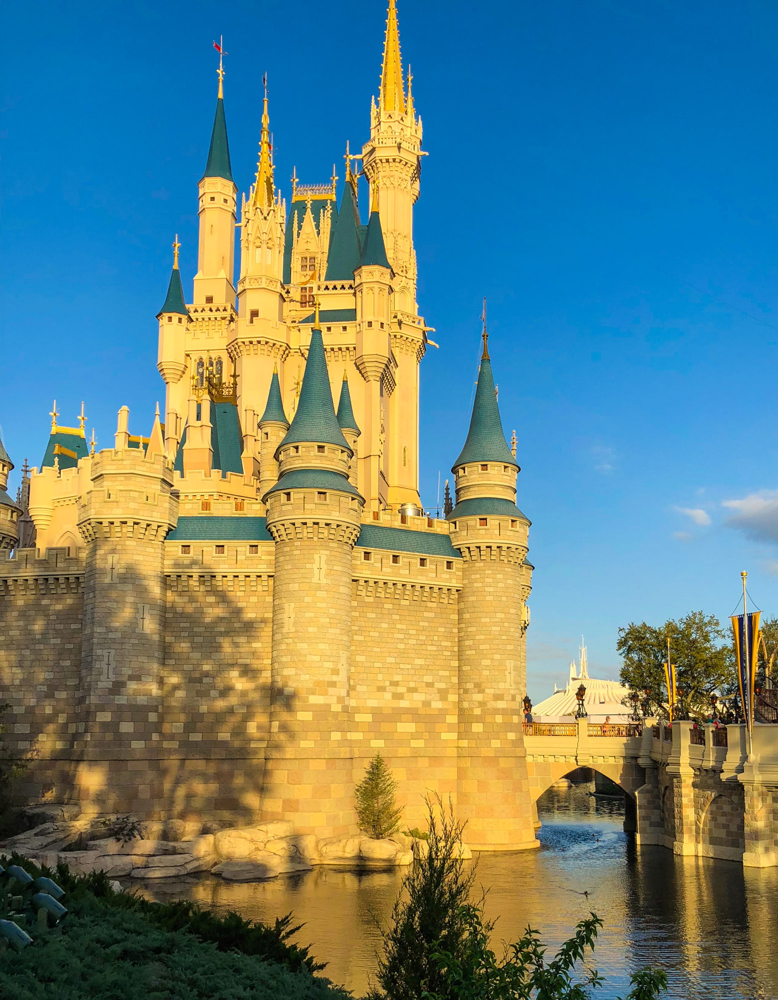 Exciting Updates Are Coming To Walt Disney World Resort - Disney World 