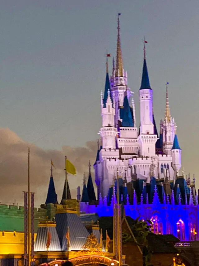 Planning a Trip to Walt Disney World on a Budget