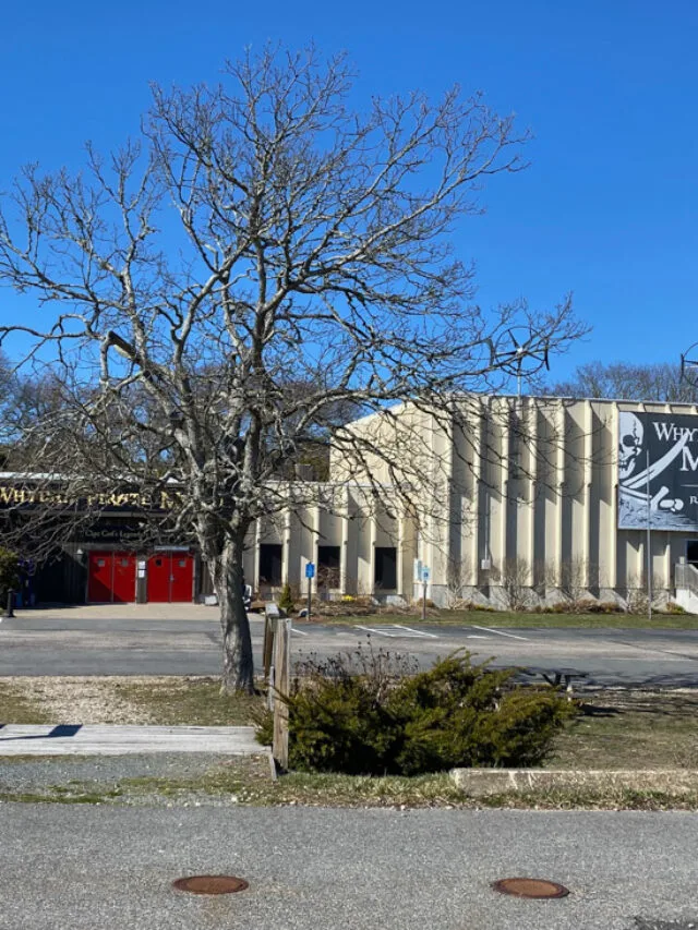 exterior of the Whydah Pirate Museum in the winter with bare tree in front