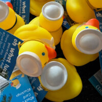 Rubber ducks with sailor hats in a pile with tags