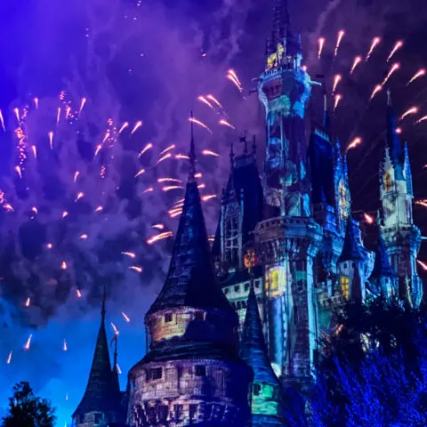 Fireworks over Cinderella Castle at night with dark sky