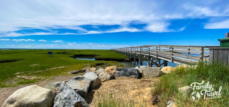 Long wooden boardwalk over a marshes
