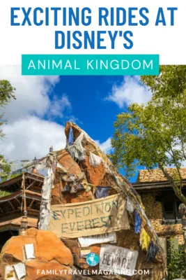 Mountain statue advertising entrance to Expedition Everest