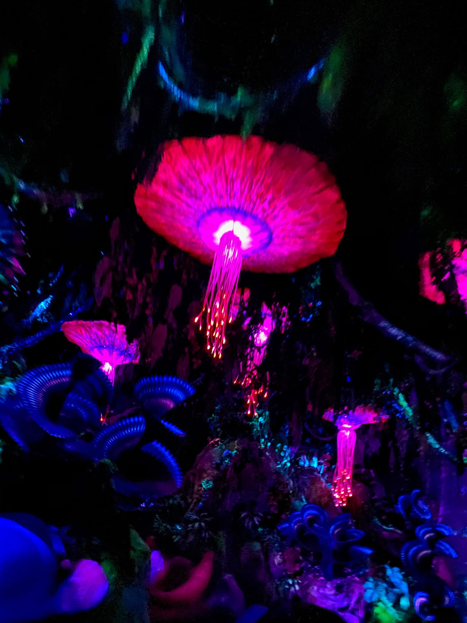 Glowing pink bioluminescent rainforest