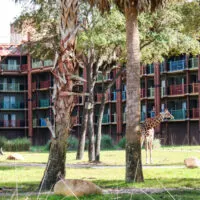 Exterior of Animal Kingdom Lodge with trees and a giraffe
