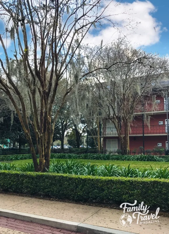 Two large trees in front of French Quarter themed hotel building
