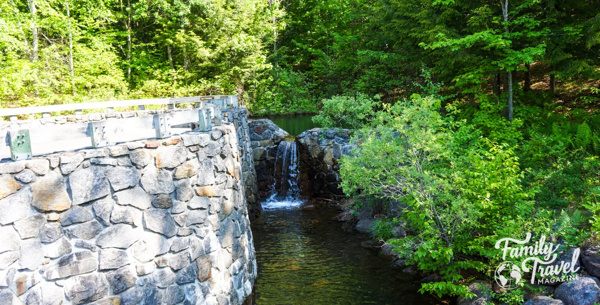 small waterfall among forest - one of the best things to do in Lincoln NH