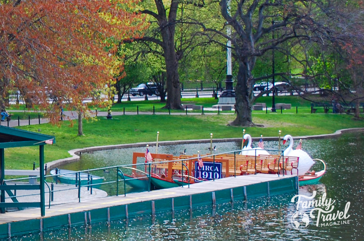 Swan boat located in water in Boston Public Garden