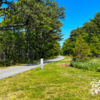 The Cape Cod Rail Trail at Yarmouth with trees surrounding a paved path