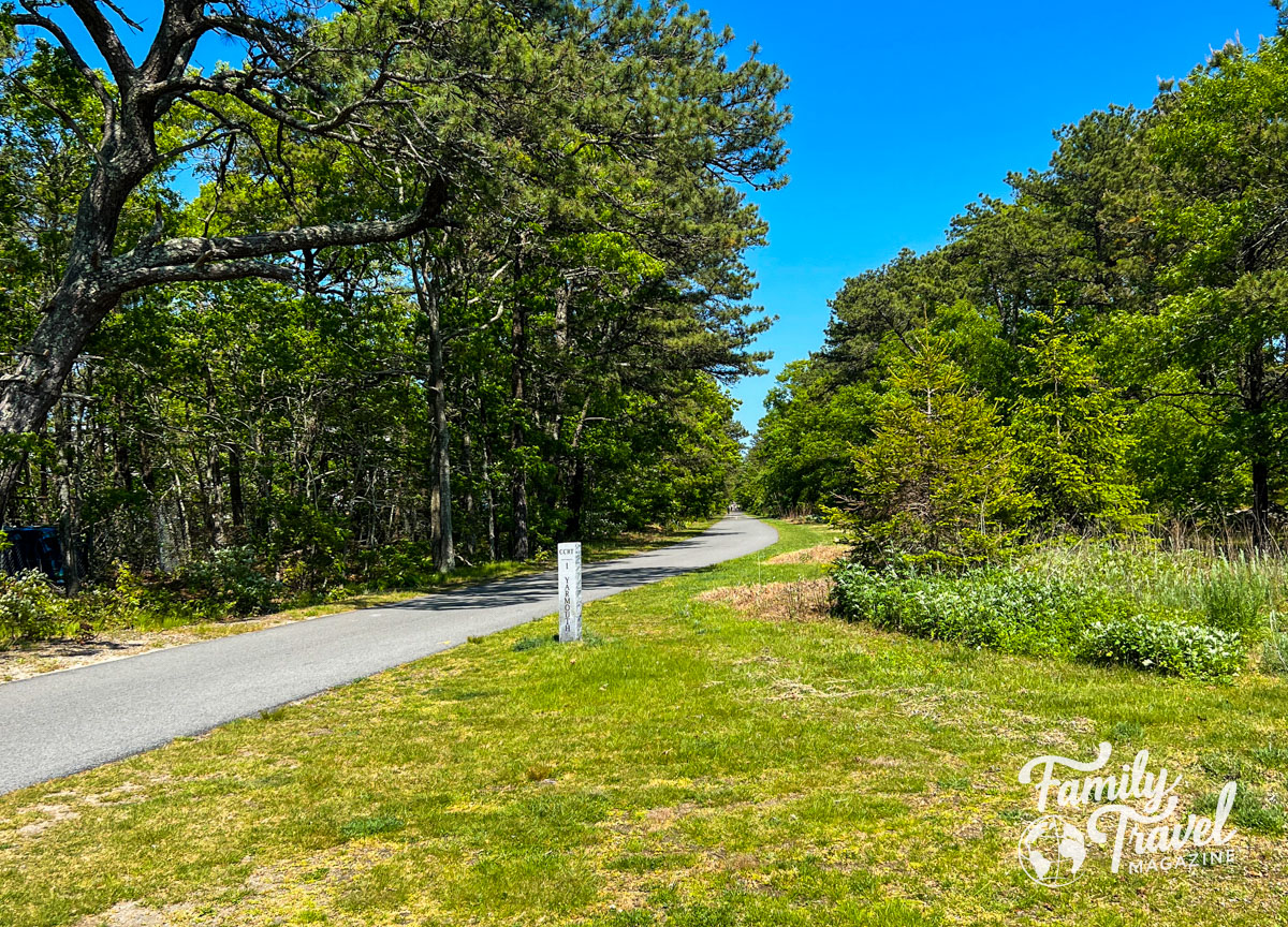The Cape Cod Rail Trail at Yarmouth with trees surrounding a paved path