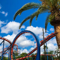 Upside down coaster with palm tree in the foreground