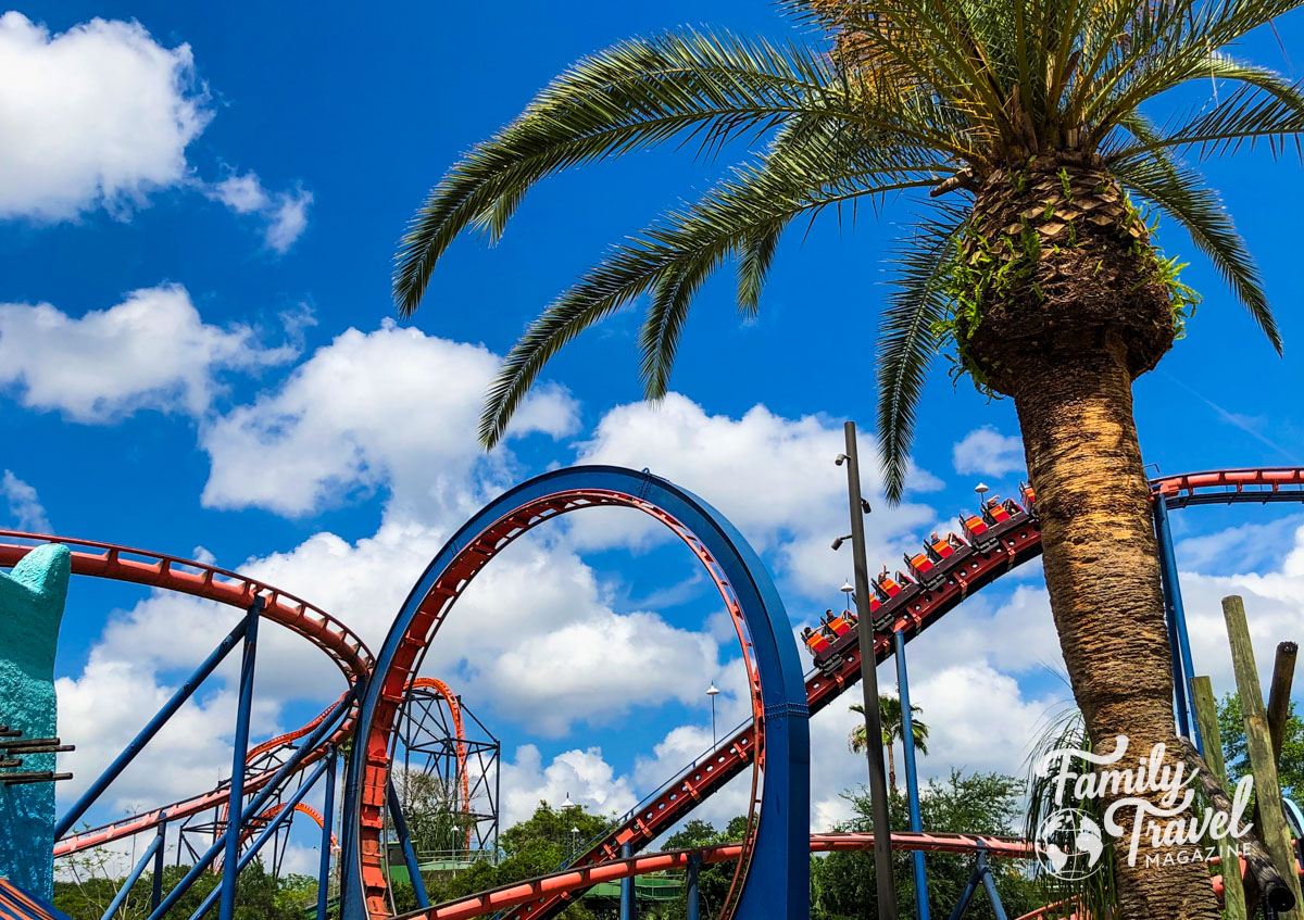 Upside down coaster with palm tree in the foreground