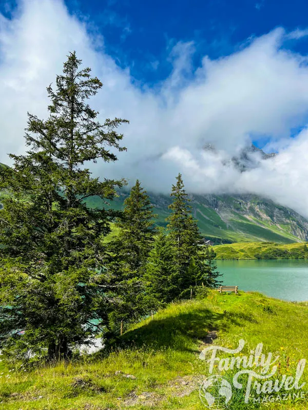 Pine trees and turquoise lake in the mountains