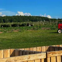 red tractor on farm with wooden bins in foreground.