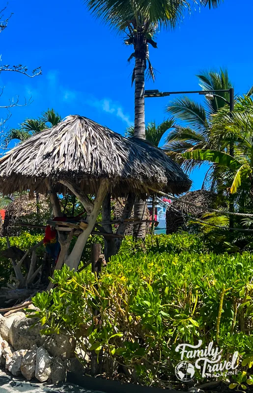 Birds in hut at cruise port