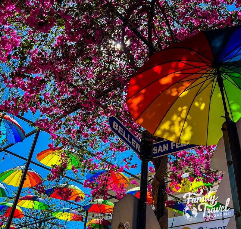 Umbrellas over street with pink flowers