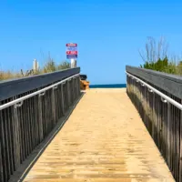 Boardwalk path leading to beach surrounded by sea grass