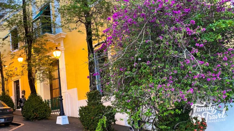 Yellow building with purple flowering plant