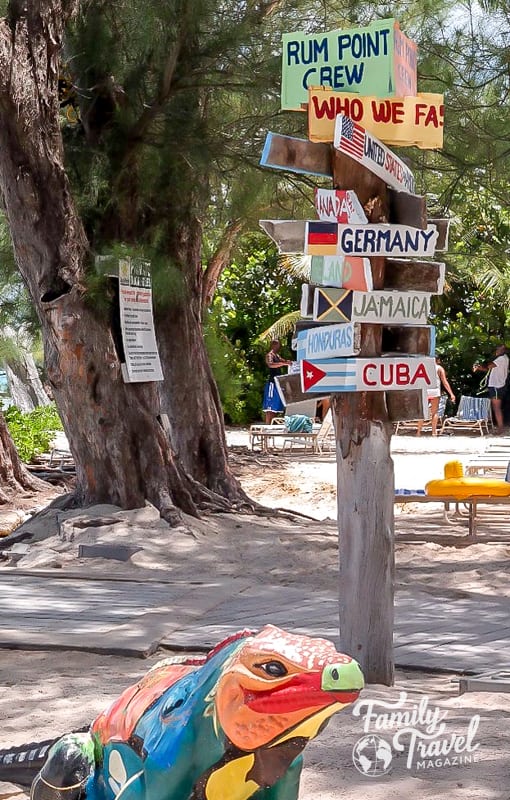 sign with international destinations (germany, jamaica, cuba), tree, and colorful iguana figure 