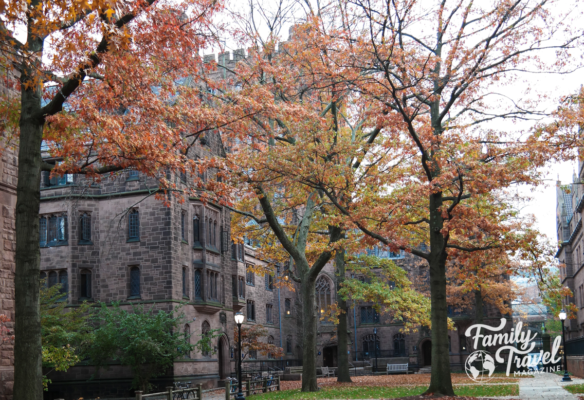 Yale buildings with fall foliage in front