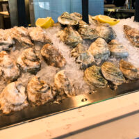 Oysters on ice on a raw bar