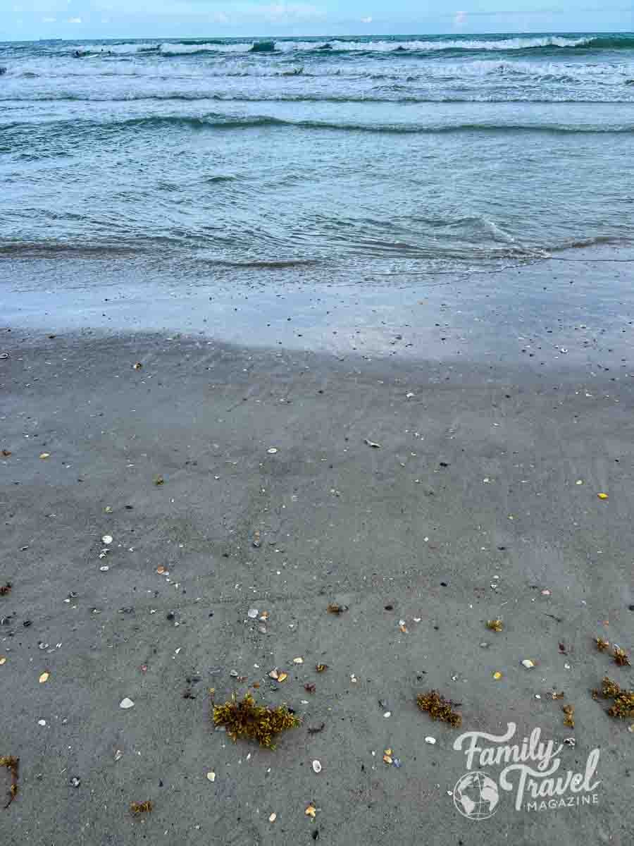 Ocean waves gently wash onto a sandy beach scattered with shells and seaweed under a light sky.