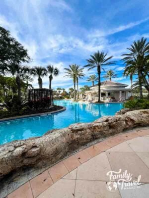 Lazy river with palm trees
