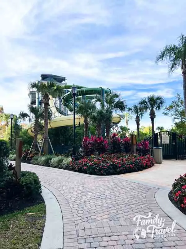 Water slide tour with palm trees and flowers in front