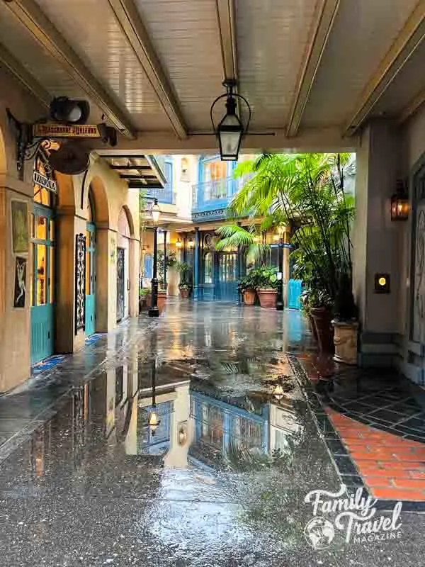 Puddles in New Orleans Square