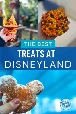 Chili-mango Dole Whip, large cookie with Reese's Pieces, Mickey-shaped beignet.
